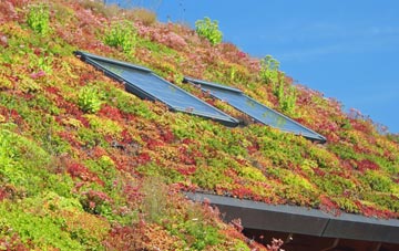 Upper Froyle living roof systems