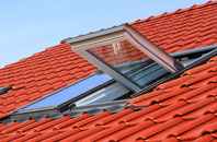 Upper Froyle roof window